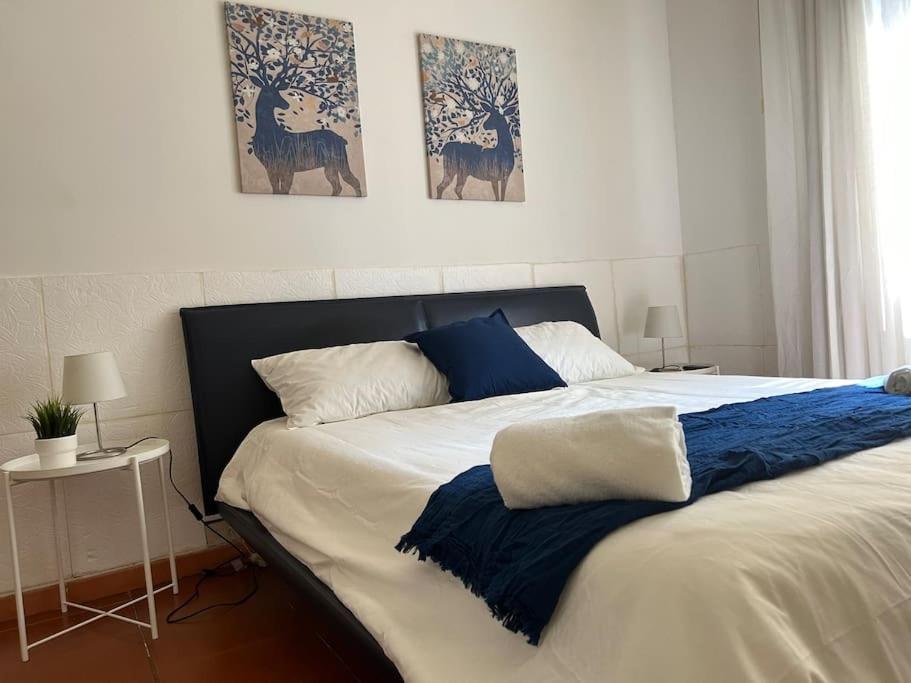 Appartamento Cavalieri Modène Extérieur photo