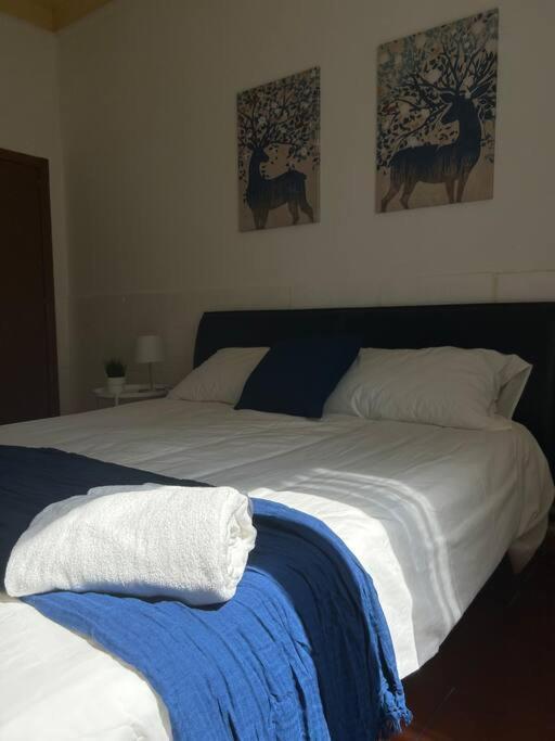 Appartamento Cavalieri Modène Extérieur photo